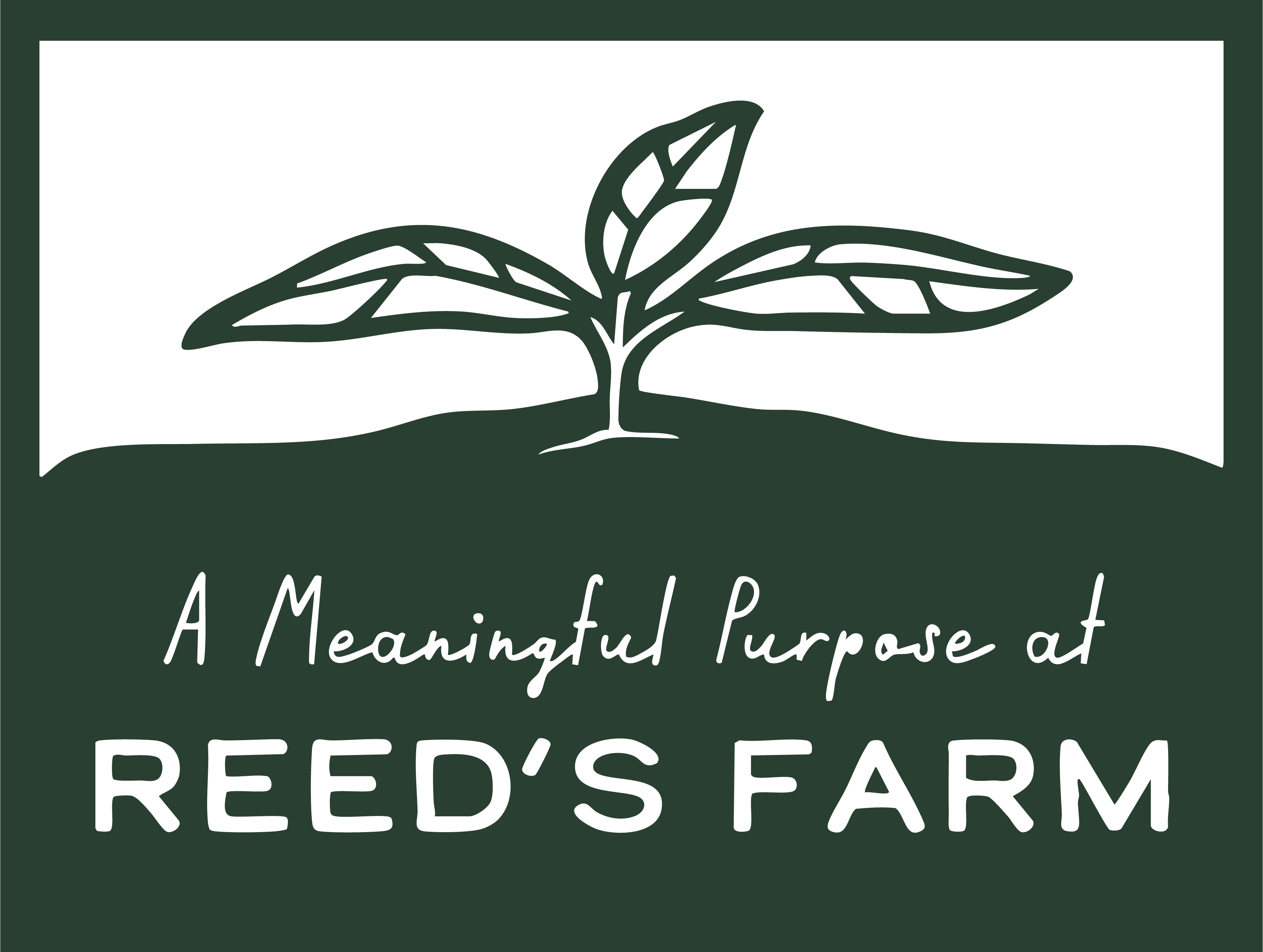 Reed's Organic Farm